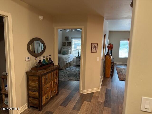 corridor featuring dark wood-type flooring