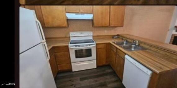 4601 N 102nd Ave Unit 2202, Phoenix, AZ 85037 - kitchen featuring dark wood-style flooring, a sink, ventilation hood, white appliances, and light countertops