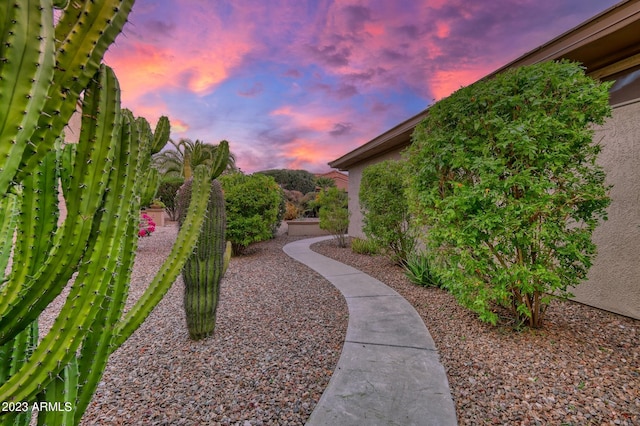 view of yard at dusk