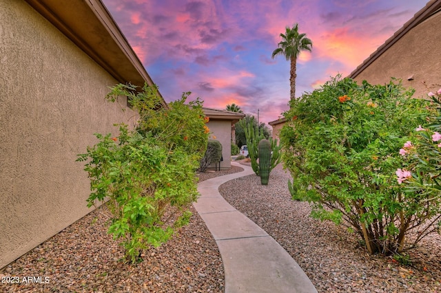 view of yard at dusk