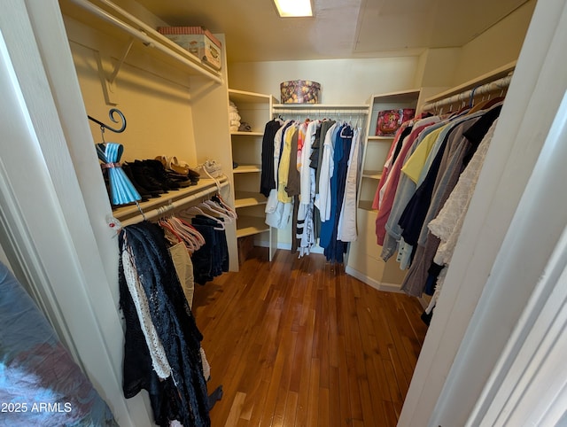 spacious closet featuring wood-type flooring