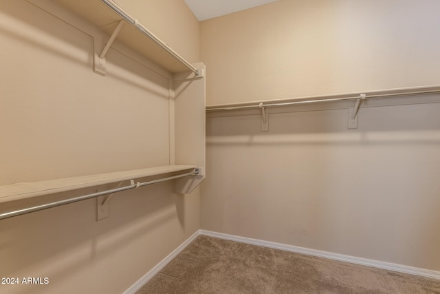 spacious closet with carpet