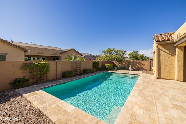 view of swimming pool with a patio area