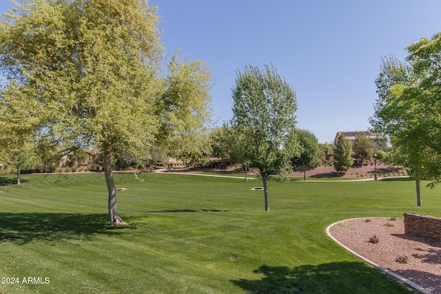 view of community featuring a lawn