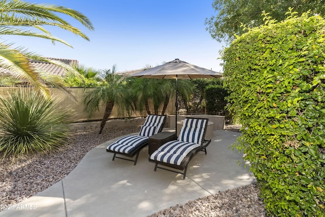 4524 E Narrowleaf Dr, Gilbert, AZ 85298 - fenced backyard with a patio area