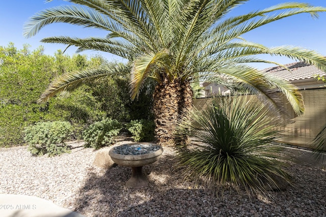 4524 E Narrowleaf Dr, Gilbert, AZ 85298 - view of yard
