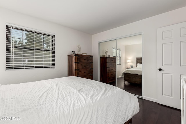 bedroom featuring a closet and dark wood-type flooring