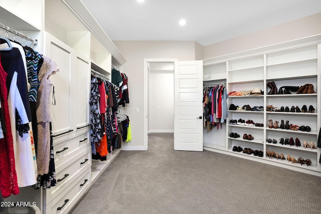 spacious closet with carpet