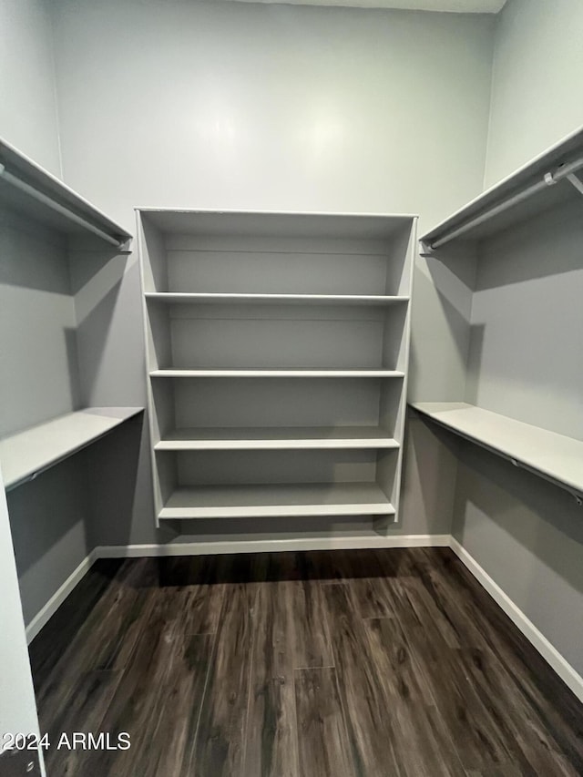 walk in closet featuring dark wood-type flooring