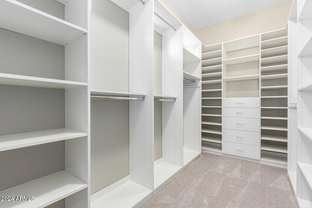 walk in closet with light carpet