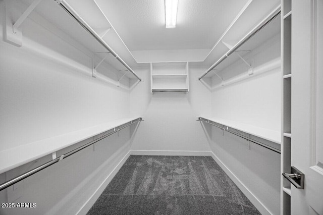 spacious closet with dark colored carpet