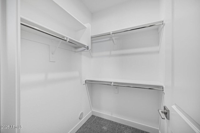 view of walk in closet