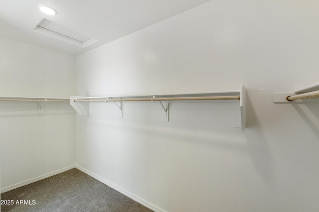 spacious closet with attic access and carpet floors