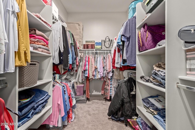 walk in closet featuring light colored carpet