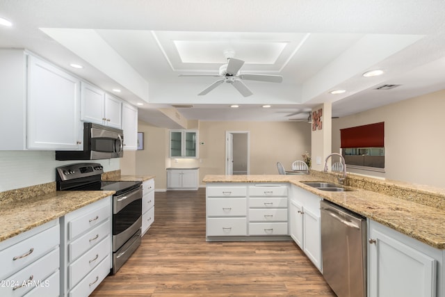 kitchen with white cabinets, kitchen peninsula, hardwood / wood-style floors, a tray ceiling, and appliances with stainless steel finishes