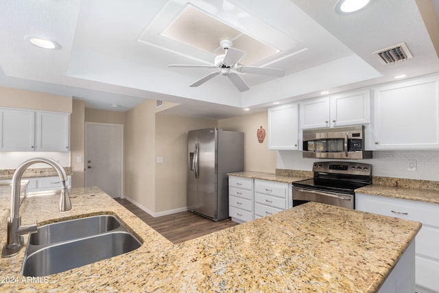 kitchen featuring appliances with stainless steel finishes, sink, light stone counters, and a tray ceiling