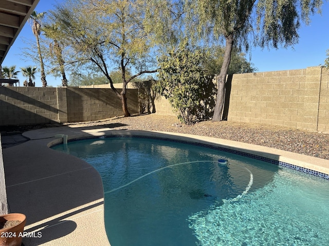 1770 E Sandra Ter, Phoenix, AZ 85022 - view of pool