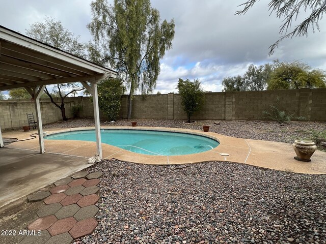 1770 E Sandra Ter, Phoenix, AZ 85022 - view of swimming pool featuring a patio