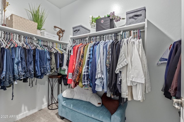 walk in closet with carpet