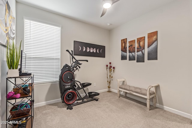 exercise room with ceiling fan and carpet