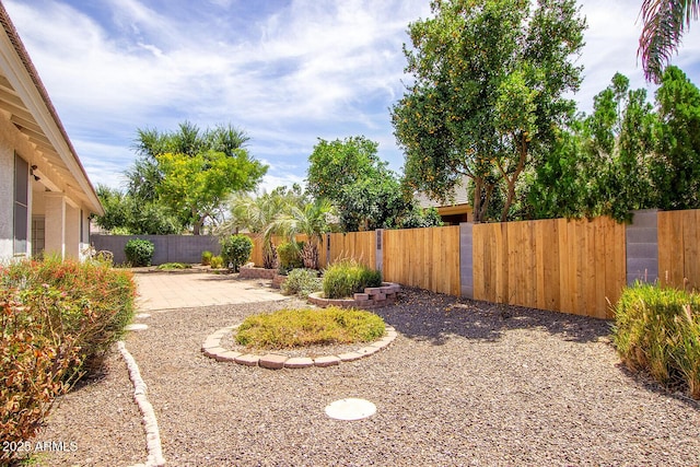 view of yard with a patio