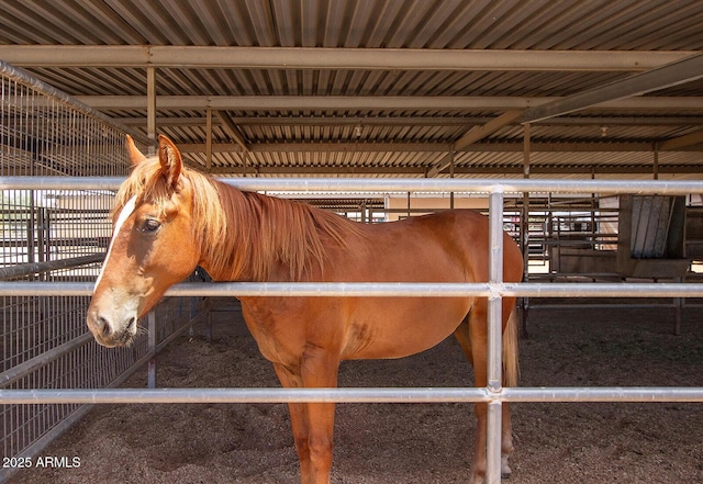 view of horse barn