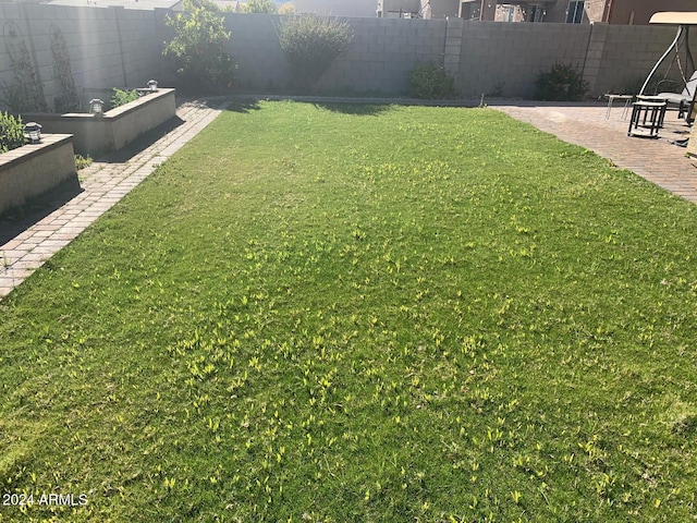 view of yard featuring a patio