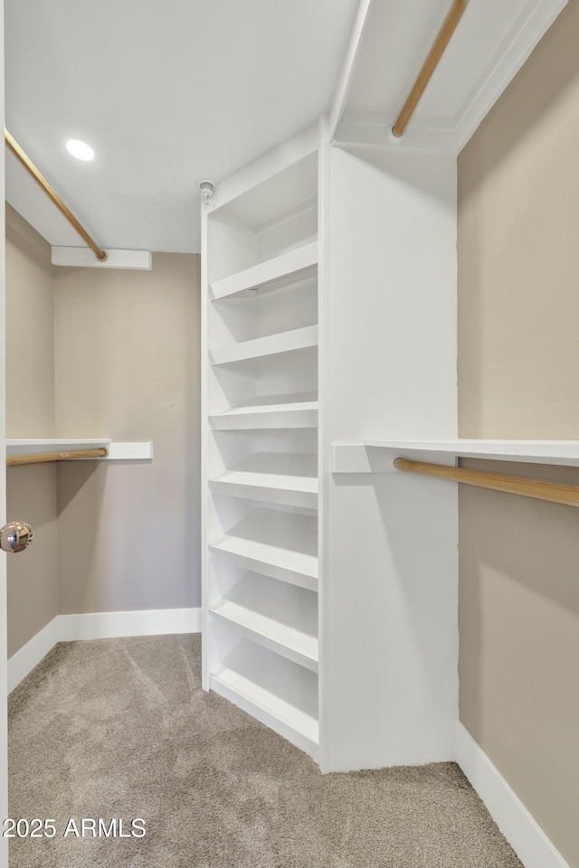 spacious closet with carpet flooring