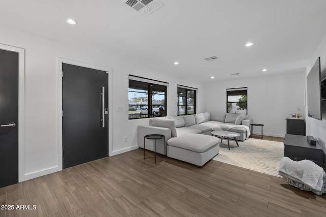 living room featuring wood-type flooring