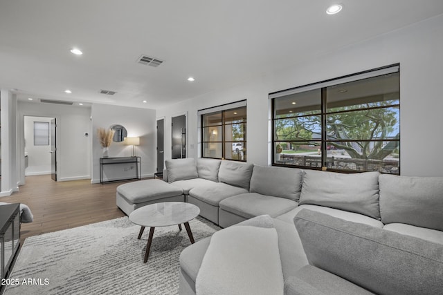 living room with hardwood / wood-style floors