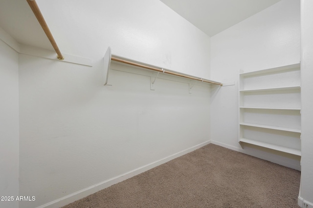 spacious closet with carpet