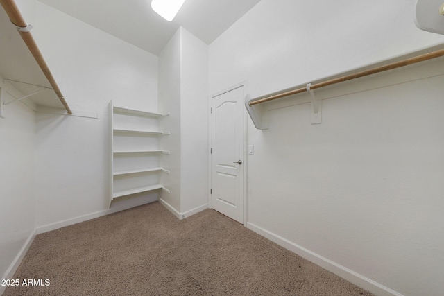 walk in closet with light carpet