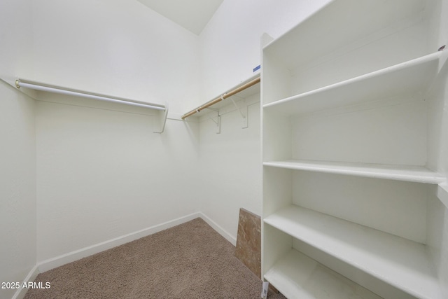 spacious closet with carpet floors