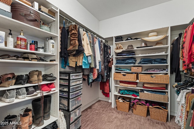 walk in closet featuring light colored carpet