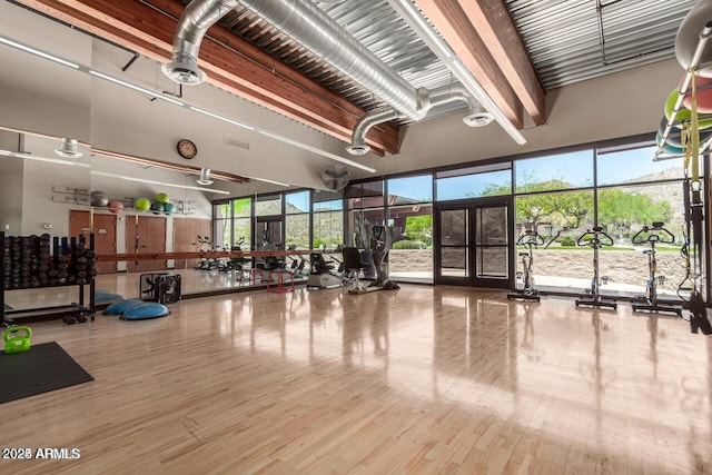 workout area featuring a wealth of natural light and light hardwood / wood-style floors