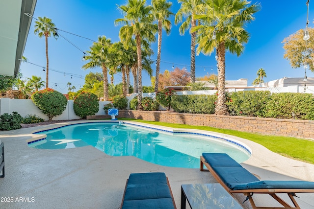 6220 E Paradise Ln, Scottsdale, AZ 85254 - view of swimming pool featuring a fenced backyard and a patio