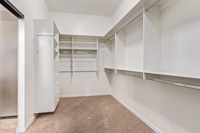 walk in closet featuring carpet floors