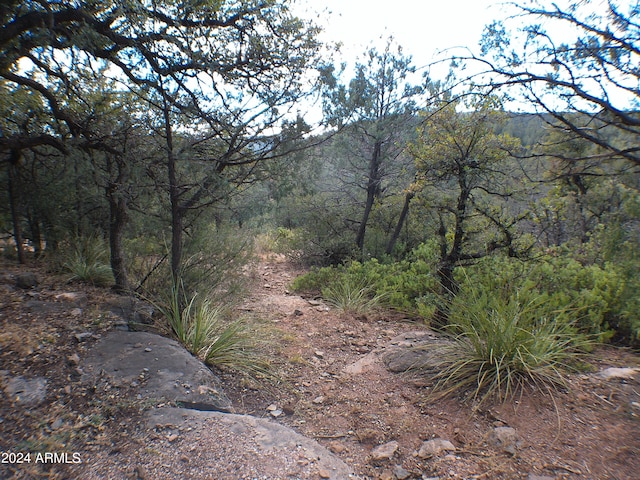 Listing photo 2 for LOT14 N Vista Way Unit 14, Payson AZ 85541