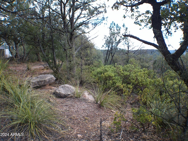 Listing photo 3 for LOT14 N Vista Way Unit 14, Payson AZ 85541