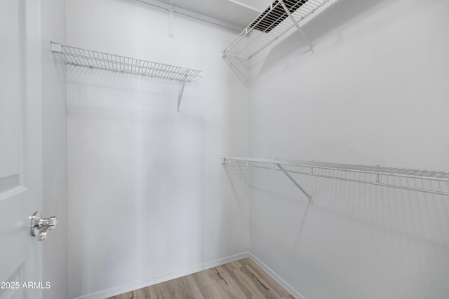 walk in closet featuring hardwood / wood-style flooring