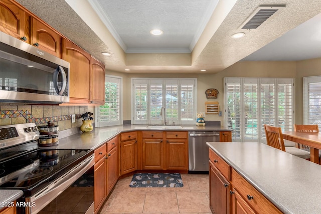4601 E Sunnyside Ln, Phoenix, AZ 85032 - kitchen featuring stainless steel appliances, a sink, a tray ceiling, crown molding, and healthy amount of natural light