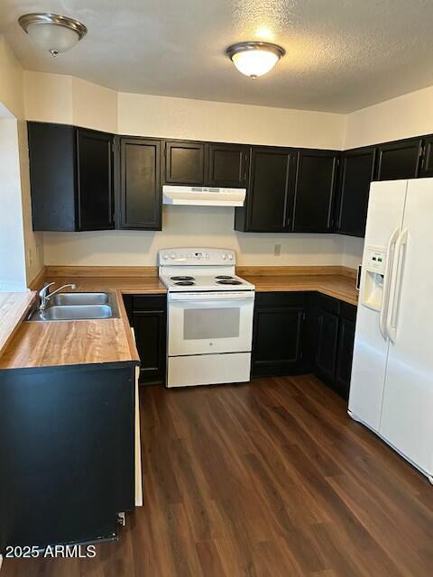 kitchen featuring a sink, dark cabinetry, dark wood finished floors, under cabinet range hood, and white appliances