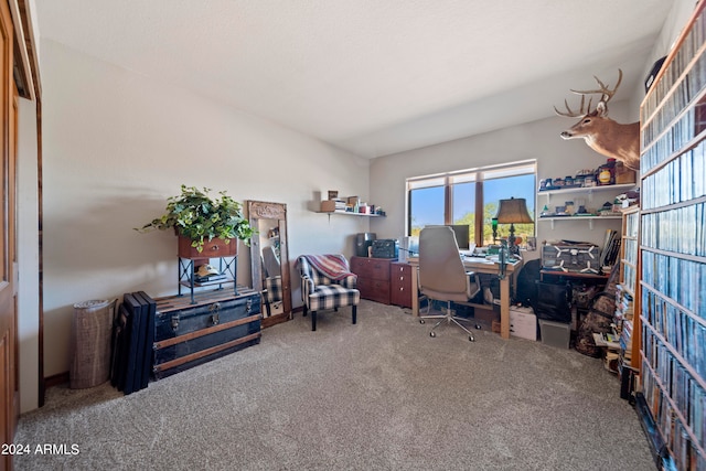 view of carpeted home office