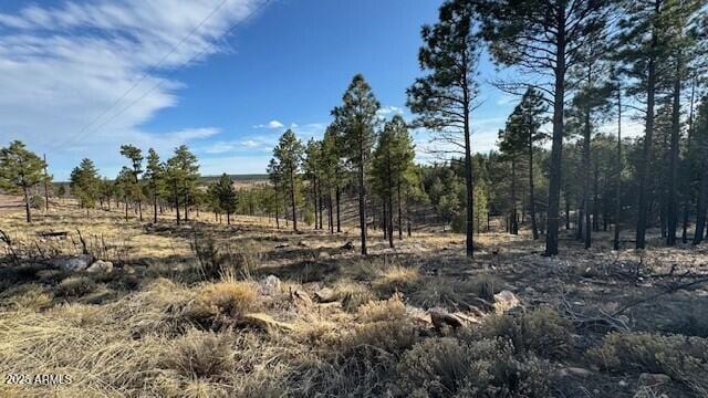 806 Eagle View Dr Unit 29, Happy Jack, AZ 86024