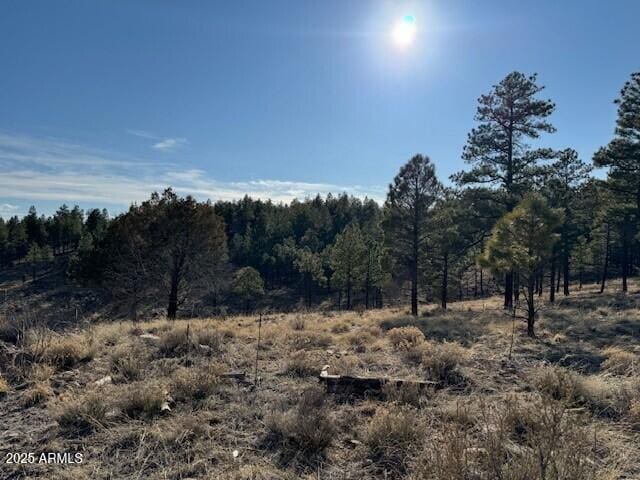 806 Eagle View Dr Unit 29, Happy Jack, AZ 86024