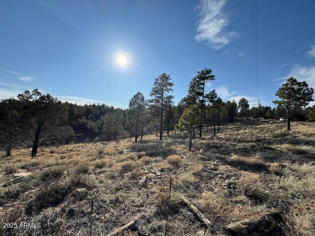 806 Eagle View Dr Unit 29, Happy Jack, AZ 86024