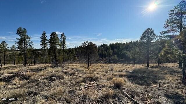 806 Eagle View Dr Unit 29, Happy Jack, AZ 86024