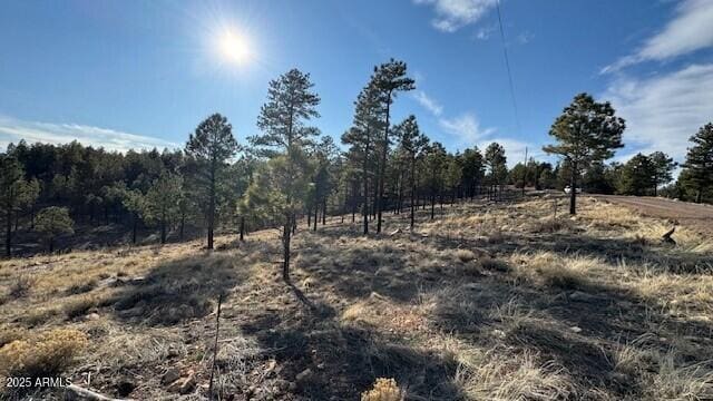 806 Eagle View Dr Unit 29, Happy Jack, AZ 86024