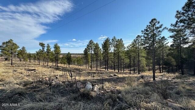806 Eagle View Dr Unit 29, Happy Jack, AZ 86024