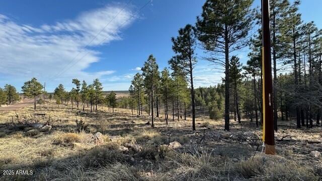 806 Eagle View Dr Unit 29, Happy Jack, AZ 86024